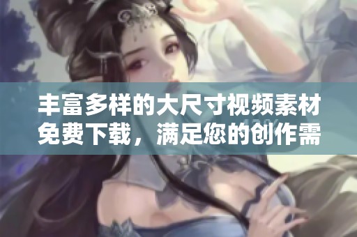 丰富多样的大尺寸视频素材免费下载，满足您的创作需求