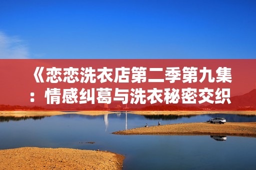 《恋恋洗衣店第二季第九集：情感纠葛与洗衣秘密交织》