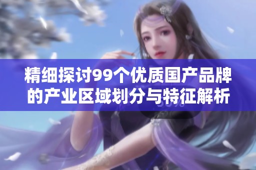 精细探讨99个优质国产品牌的产业区域划分与特征解析