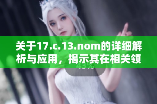 关于17.c.13.nom的详细解析与应用，揭示其在相关领域的重要性与影响力