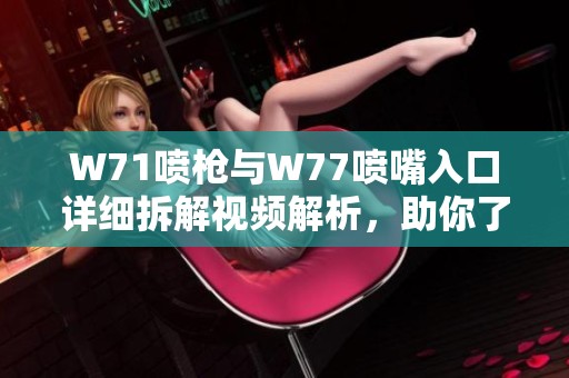 W71喷枪与W77喷嘴入口详细拆解视频解析，助你了解喷涂技巧与应用