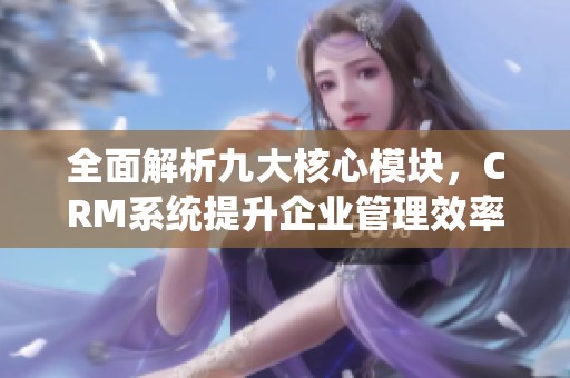 全面解析九大核心模块，CRM系统提升企业管理效率的有效途径探讨