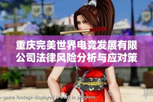重庆完美世界电竞发展有限公司法律风险分析与应对策略探讨