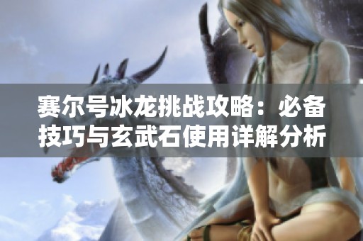 赛尔号冰龙挑战攻略：必备技巧与玄武石使用详解分析