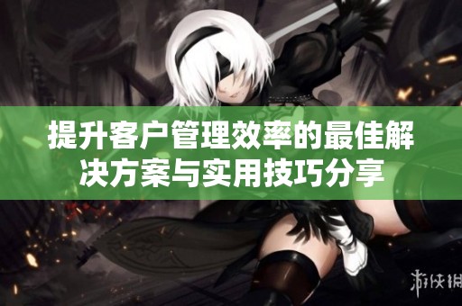 提升客户管理效率的最佳解决方案与实用技巧分享
