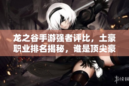 龙之谷手游强者评比，土豪职业排名揭秘，谁是顶尖豪杰？