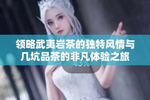 领略武夷岩茶的独特风情与几坑品茶的非凡体验之旅