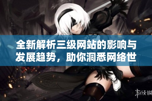 全新解析三级网站的影响与发展趋势，助你洞悉网络世界新变化