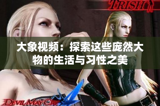 大象视频：探索这些庞然大物的生活与习性之美