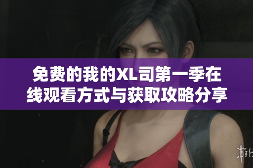 免费的我的XL司第一季在线观看方式与获取攻略分享