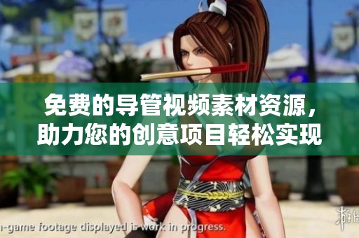 免费的导管视频素材资源，助力您的创意项目轻松实现