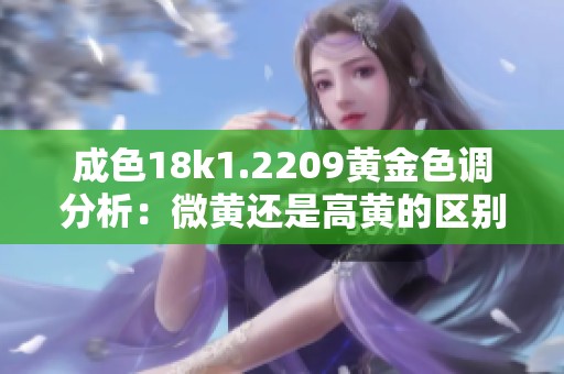 成色18k1.2209黄金色调分析：微黄还是高黄的区别解析