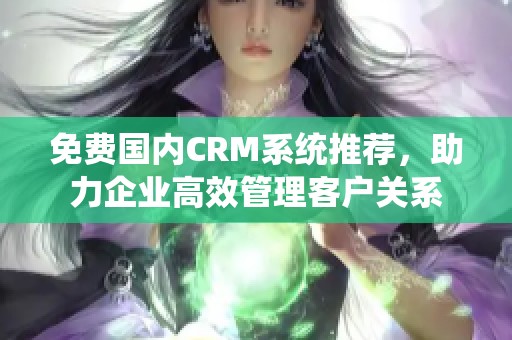 免费国内CRM系统推荐，助力企业高效管理客户关系