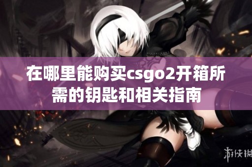 在哪里能购买csgo2开箱所需的钥匙和相关指南