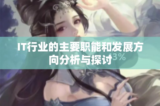 IT行业的主要职能和发展方向分析与探讨